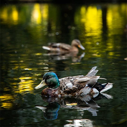 Świetna lokalizacja